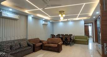 4 BHK Builder Floor For Rent in Builder Flats Sector 19, Dwarka Delhi 6489985