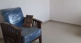 1 BHK Apartment For Rent in Shivneri Apartments Mundhwa Mundhwa Pune 6490269