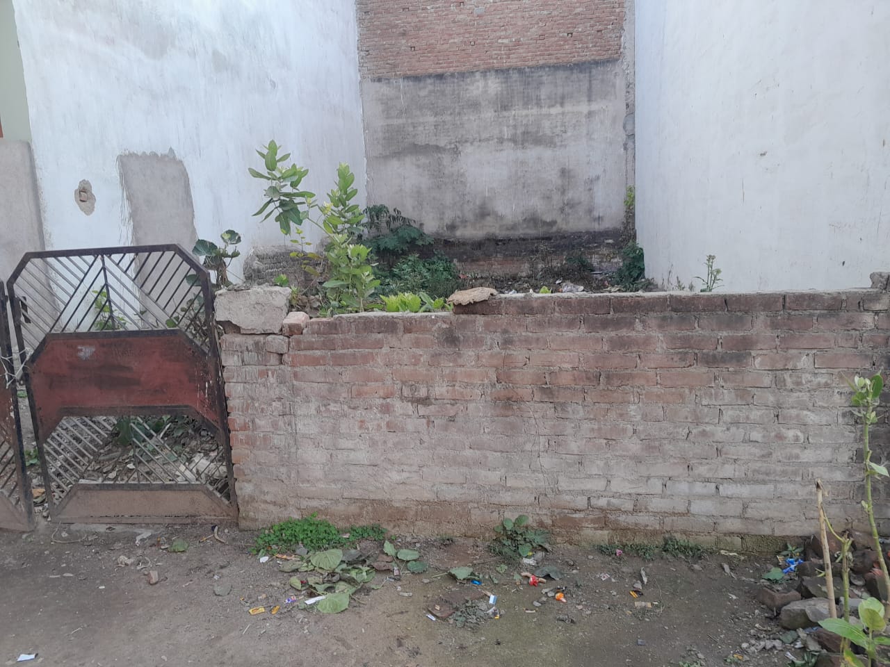 Plot For Resale in Amar Shaheed Path Lucknow  6490324