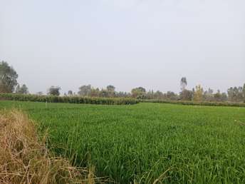 Commercial Land 10 Acre For Resale In Nawabganj Unnao 6490584