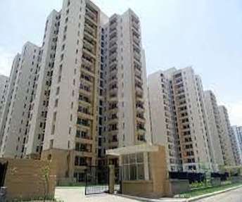 1 BHK Apartment For Rent in Jaypee Greens Kosmos Sector 134 Noida 6490810