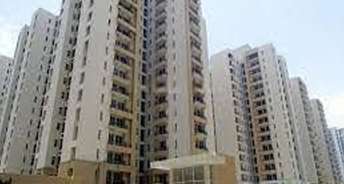 1 BHK Apartment For Rent in Jaypee Greens Kosmos Sector 134 Noida 6490810