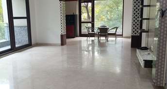 3 BHK Builder Floor For Rent in Dayanand Vihar RWA Anand Vihar Delhi 6491234