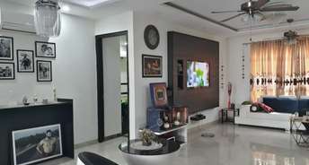 4 BHK Independent House For Resale in Sector 33 Chandigarh 6491236