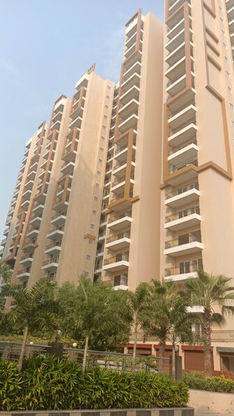 4 BHK Apartment For Resale in Savfab Jasmine Grove Pratap Vihar Ghaziabad  6491520