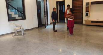 3 BHK Builder Floor For Rent in New Rajdhani Enclave Delhi 6492545