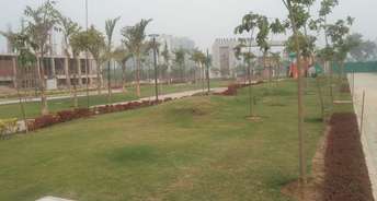  Plot For Resale in Sector 16 Panchkula 6493011
