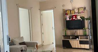 3 BHK Apartment For Resale in Fusion The Brook Noida Ext Sector 12 Greater Noida 6493247