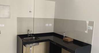 1 BHK Apartment For Resale in Sai Savali Virar East Mumbai 6493418