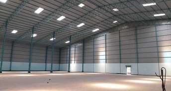 Commercial Warehouse 2000 Sq.Ft. For Rent In Gms Road Dehradun 6493744