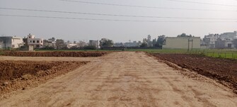 Plot For Resale in Sector 115 Mohali  6493795