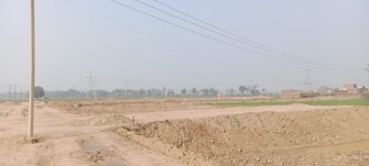 Plot For Resale in Sector 115 Mohali  6493795