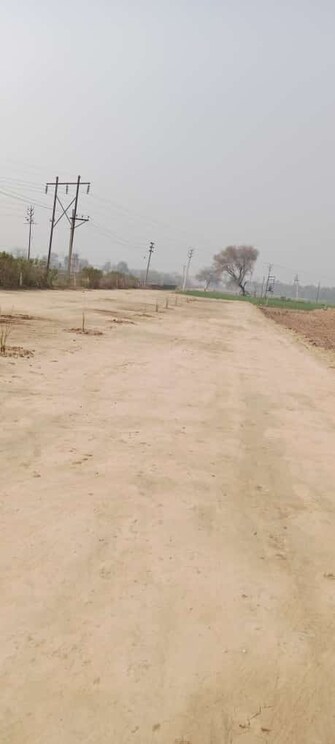 Plot For Resale in Sector 115 Mohali  6493795