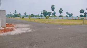 Plot For Resale in Patrunivalasa Srikakulam  6493944