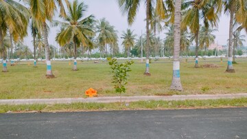  Plot – Exterior View View at Patrunivalasa - for Sale
