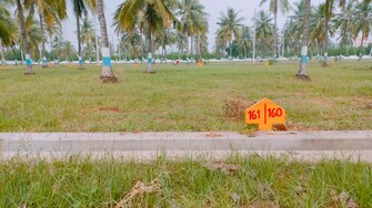 Plot For Resale in Patrunivalasa Srikakulam  6493944