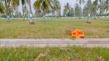 Plot Area in  Plot at Patrunivalasa – for Sale