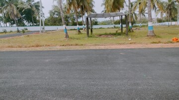   Plot at Patrunivalasa – for Sale