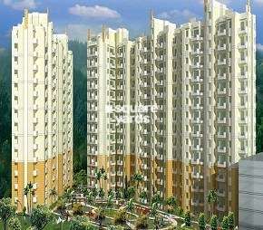 2 BHK Apartment For Resale in Terra Elegance Alwar Bypass Road Bhiwadi  6493987