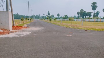 Plot Area in  Plot at Patrunivalasa – for Sale