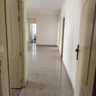 2 BHK Apartment For Resale in Terra Elegance Alwar Bypass Road Bhiwadi  6493987