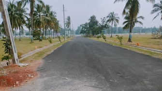 Plot For Resale in Patrunivalasa Srikakulam  6493944