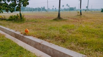 Plot Area in  Plot at Patrunivalasa – for Sale
