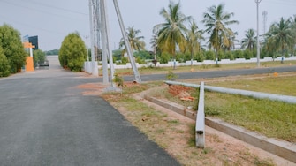 Plot For Resale in Patrunivalasa Srikakulam  6493944