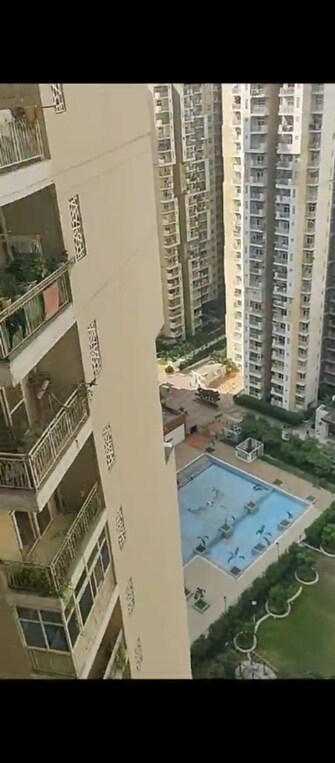 2 BHK Apartment For Resale in Mahagun Mywoods Noida Ext Sector 16c Greater Noida  6494437