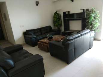 3 BHK Apartment For Rent in DLF Richmond Park Sector 43 Gurgaon  6495088
