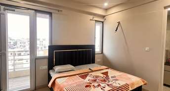 1.5 BHK Apartment For Rent in Sector 17a Gurgaon 6495405