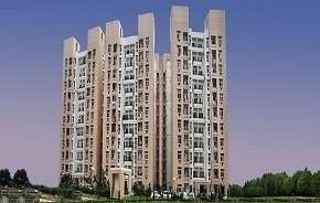 3 BHK Apartment For Rent in Rohtas Plumeria Gomti Nagar Lucknow 6496183