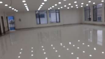 Commercial Warehouse 32000 Sq.Yd. For Rent In Topsia Road Kolkata 6496445