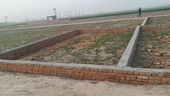  Plot For Resale in Sector 89 Faridabad 6496988
