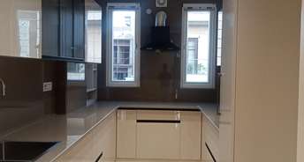 3 BHK Builder Floor For Rent in Ashoka Niketan RWA Anand Vihar Delhi 6497005