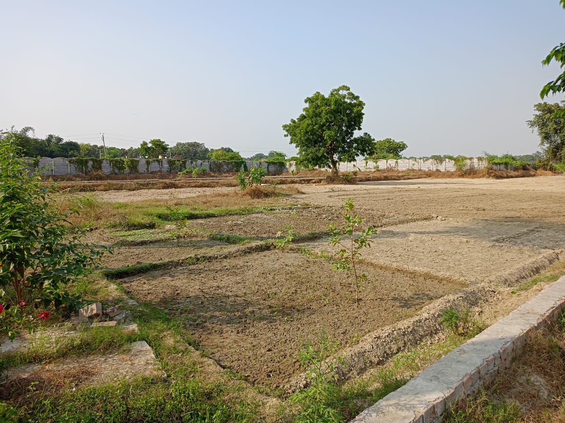 Plot For Resale in Pandit Kheda Lucknow  6497639