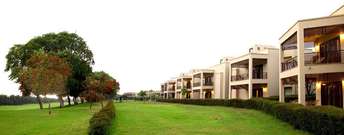 1 BHK Apartment For Resale in Silverglades Tarudhan Valley Apartments Sector 91 Gurgaon 6497595