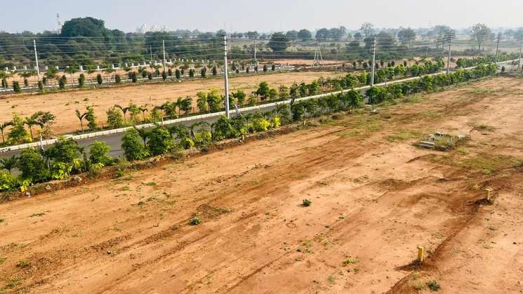 Suvidha Farm Site, Chegunta