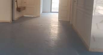 4 BHK Builder Floor For Resale in Sector 37 Faridabad 6498724