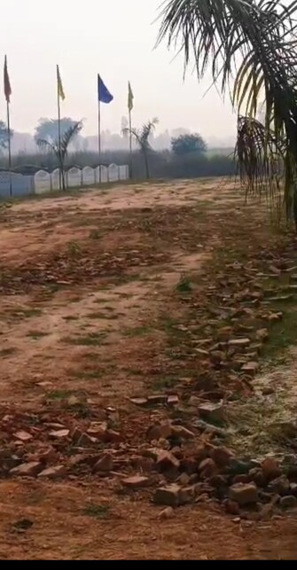 Plot For Resale in Faizabad Road Lucknow  6498998