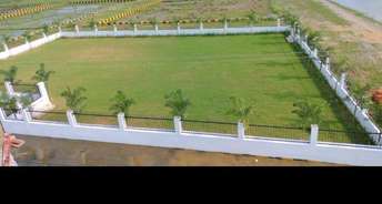  Plot For Resale in Ayodhya Faizabad 6499088