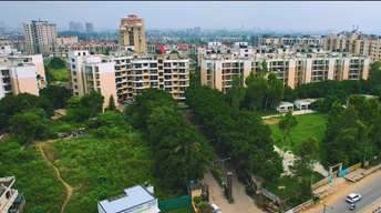 2 BHK Apartment For Resale in Sector 116 Mohali  6499209
