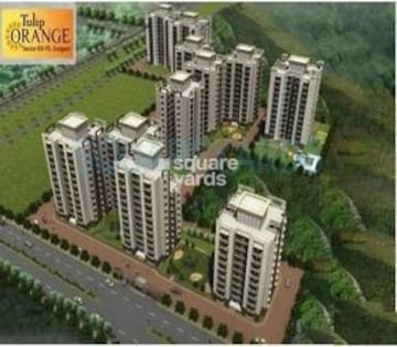 3 BHK Apartment For Resale in Tulip Orange Sector 70 Gurgaon  6499300