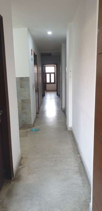 2 BHK Builder Floor For Rent in Malviya Nagar Delhi  6499985