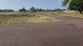  Plot For Resale in Mohan Road Lucknow 6499951