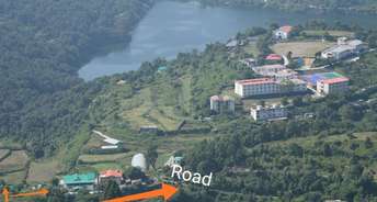  Plot For Resale in Bhimtal Nainital 6500038