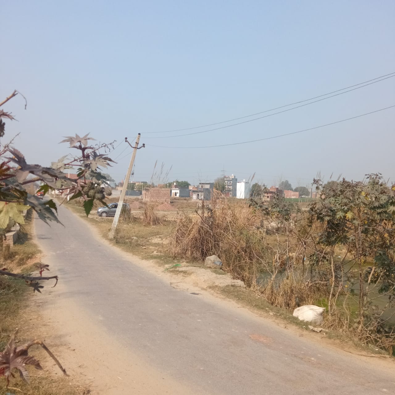  Plot For Resale in Dadri Greater Noida 6500055