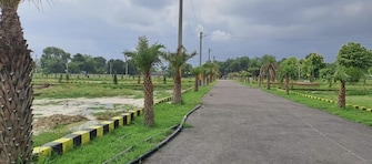 Plot For Resale in Mohan Road Lucknow  6500255