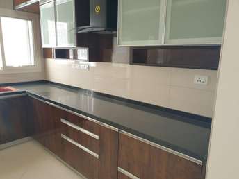3 BHK Builder Floor For Rent in Hsr Layout Bangalore 6500533