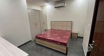 1 RK Independent House For Rent in Sector 46 Gurgaon 6500982